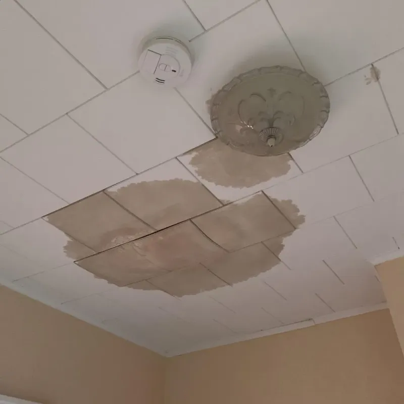 Ceiling Water Damage Repair in Henrico County, VA