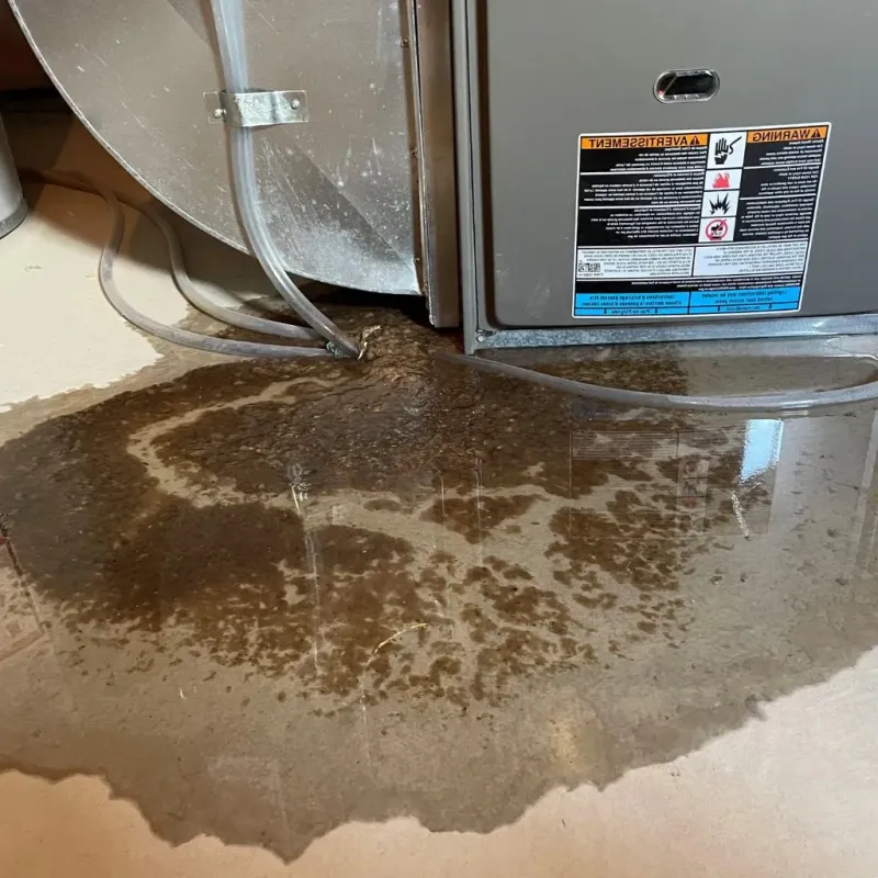 Pipe Burst and Leak Restoration in Henrico County, VA